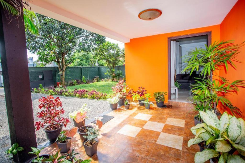Hotel Blue Bird Negombo Exterior photo